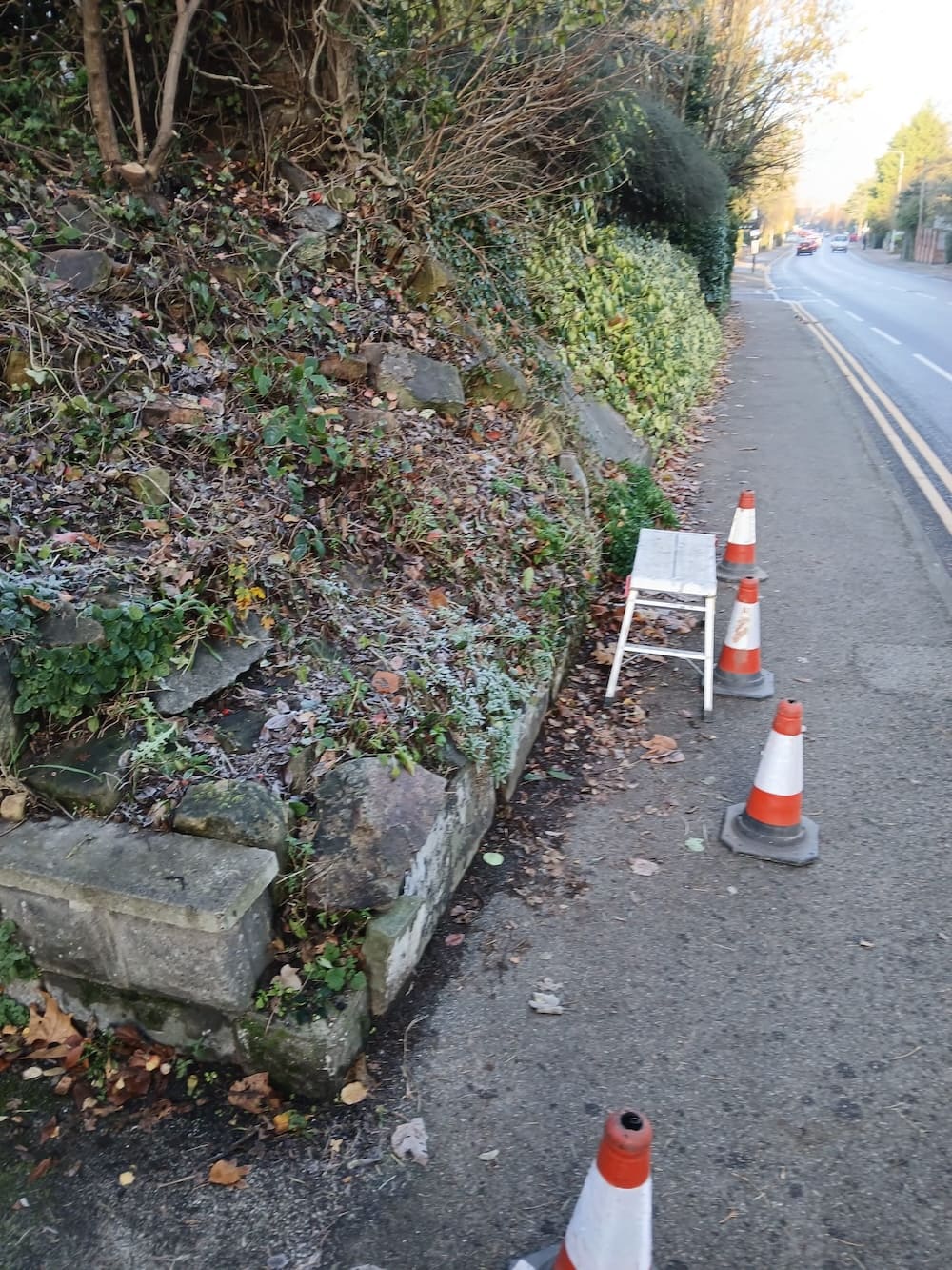 Before transformation