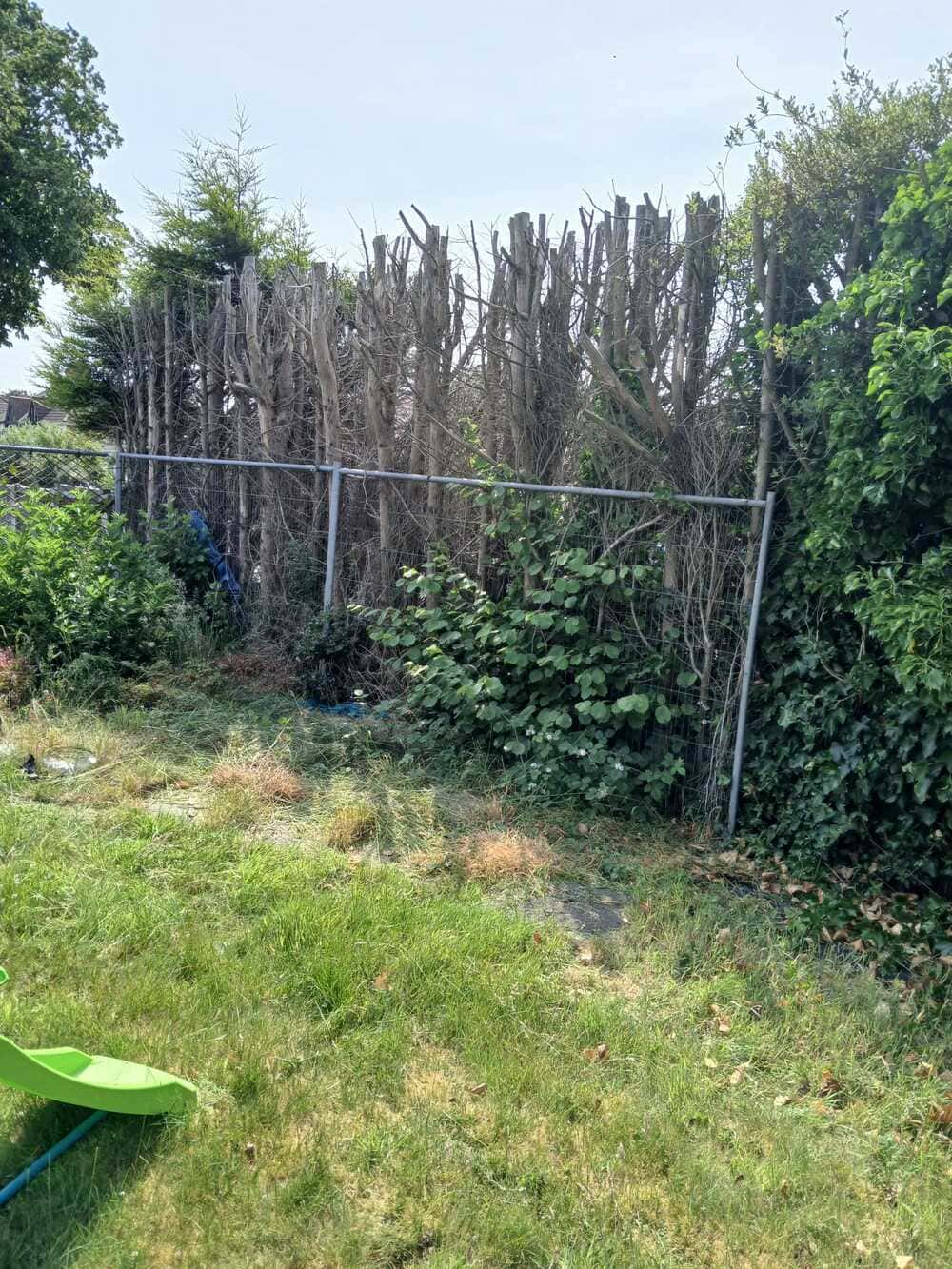 Before transformation