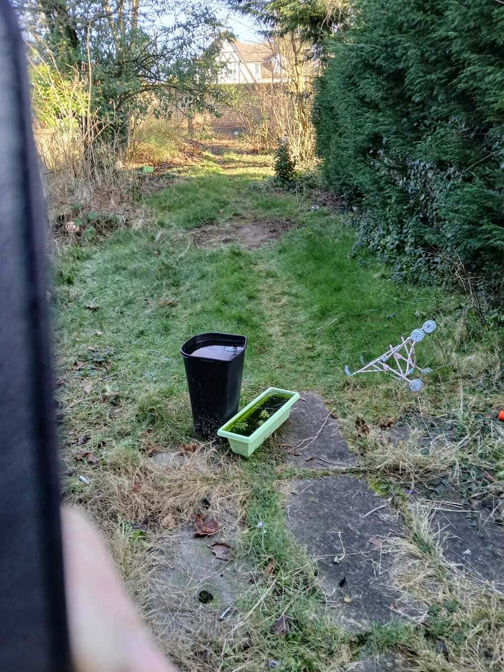 Before transformation