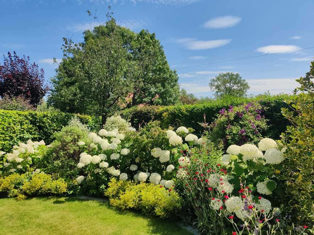 Garden maintenance project 26